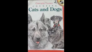 CATS   and   DOGS