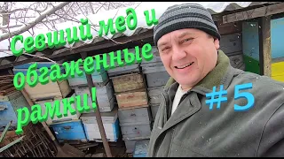 ✅Мед кристаллизуется в рамках, обгаженная сушь весной, что делать! #ПЧЕЛОВОДСТВО5 начинающим с нуля!