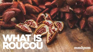 What is Roucou (Annatto Extract)?