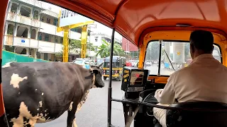 PRIN TRAFICUL DIN INDIA LA ORA DE VARF