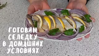 Вкуснейшая селедка в домашних условиях. Домашние советы. Мой опыт.