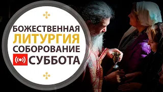 Божественная Литургия. Панихида. Соборование.  Трансляция.  03.04.2021.