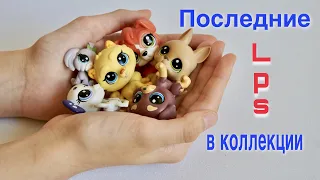 LPS / ПОСЛЕДНИЕ СОБАКИ из новой коллекции / Littlest pet shop