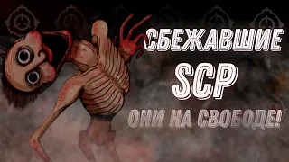 Сбежавшие SCP [Не содержатся]