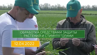 "День поля - 2022" НПХ "Калинина"