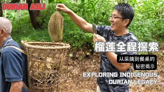 DURIAN ASLI MALAYSIA  榴莲全程探索：从采摘现场到历史传承，带您领略多重滋味！