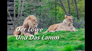 Der Löwe Und Das Lamm (Lion And The Lamb) - Karaoke Flöte Instrumental Leeland Mooring V1