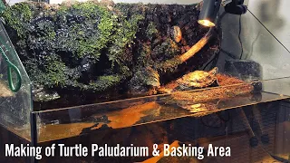 Making of Turtle Paludarium & Basking Area