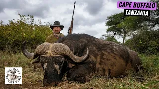 Epic Hunt for Cape Buffalo in Tanzania
