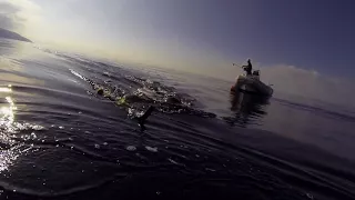 Pesca Sub - Su un relitto a 60 m di profondita'- Spettacolari immagini - Spearfishing - Big Fish -