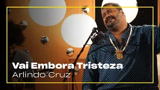 Vai Embora Tristeza - Arlindo Cruz | Zoombido com Paulinho Moska