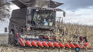 Fendt Ideal 8T + Geringhoff Corn harvest 2021 + Case Magnum & John Deere/ Baltic Agrar Service Kock