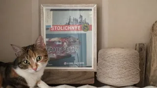 ОБЗОР НА ПАПИРОСЫ STOLICHNYE💀💀💀