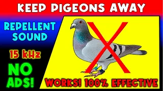 ANTI PIGEONS REPELLENT SOUND ⛔🐦 KEEP PIGEONS AWAY - ULTRASONIC SOUND