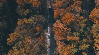 [playlist] 가을과 겨울 사이, 김동률과 브라운 아이드 소울