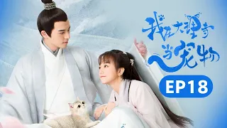 【ENG SUB】《我在大理寺当宠物》第18集 I'm a Pet At Dali Temple EP2 胡意璇 / 徐开聘 | Caravan中文剧场