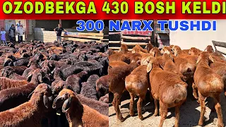 OZODBEK 430 BOSH TOZZA XSORILARNI OLIB KELDI SHOSHILING