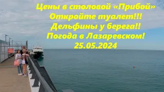 Цены в столовой "Прибой"! Дельфины у берега! Погода в Лазаревском 25.05.24.🌴ЛАЗАРЕВСКОЕ СЕГОДНЯ🌴СОЧИ