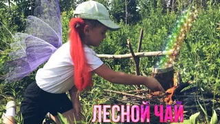 ЧАЙ из ТРАВ и ЯГОД. 4 лучших рецептов чая | ЛЕСНЫЕ ФЕИ