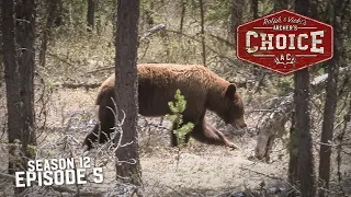 SASKATCHEWAN & MANITOBA BEAR'N DOWN - Archer’s Choice (Full Episode)  // S12: Episode 5