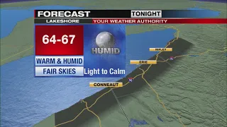 Lakeshore Forecast