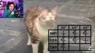 Gato Matemático