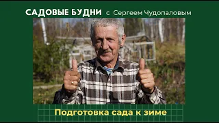 Укрываем деревья. Готовим сад к зиме.