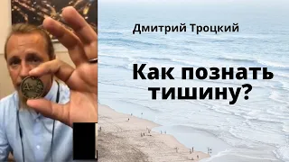 Как познать ТИШИНУ ?    Дмитрий Троцкий