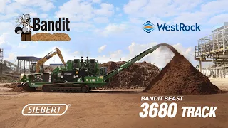 Bandit Beast 3680 XP - West Rock - Três Barras - SC
