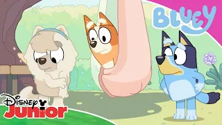 Butterflies 🦋 | Bluey 💙 | Disney Junior Arabia