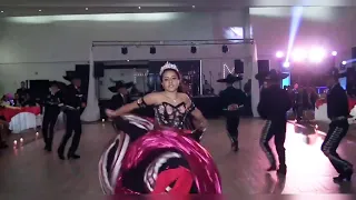 XV AÑOS MEXICANOS (VALS DE ALEJANDRA,TRANCHETES,SON DE LA NEGRA)