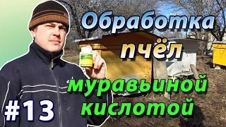 Весенняя обработка пчёл от клеща муравьиной кислотой. Препарат Муравьинка.