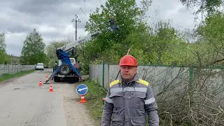 Обрізка дерев у Фастівському районі