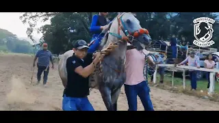 carrereros de la cuenca... la fiscal vs el tordillo vs la niurka