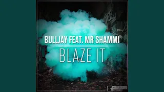 Blaze It (feat. Mr. Shammi) (Radio Edit)