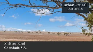 'Marlowes',  'Black Hill' & 'Kildaton Downs' , Chandada, Eyre Peninsula, South Australia