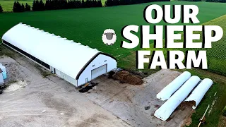 Welcome to our Sheep Farm (A TOUR OF OUR FARM 2020): Vlog 257