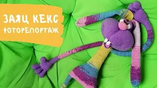 Заяц КЕКС | Фоторепортаж