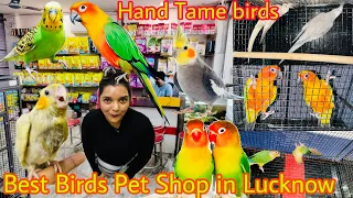 Birds shop in Lucknow l Exotic birds/pet Market in Lucknow l Zoocho The Pet Gallery l #petshop