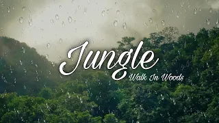 Jungle | A cinematic Walk In woods  With Peaceful Music | Meditation Sound