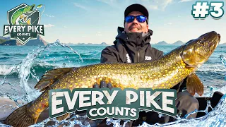 BIG FISH -Päivä! - Every Pike Counts 2024 with Kurre | Episode 3