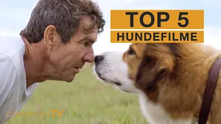 TOP 5: Hundefilme [Realfilm]