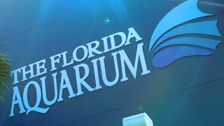 Welcome to The Florida Aquarium!