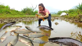 Use the pump to suck water out of the pool and catch many big fish.