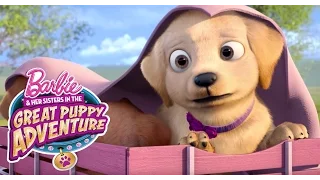 Puppy Platoon Stashes Away | Barbie & Her Sisters in a Great Puppy Adventure | @Barbie