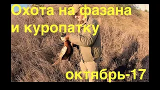 14.10.2017 Охота на фазана и куропатку. Hunting for pheasant and partridge in Ukraine - 2017