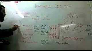 1- Introduction & cell membrane (Histology is easy)
