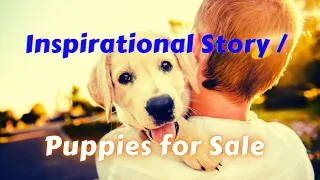 Inspirational story – Puppies for Sale | How to Be Compassionate | Powerful Story on Understanding