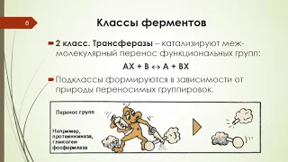 Лекция 2 ФЕРМЕНТЫ (Часть 1)