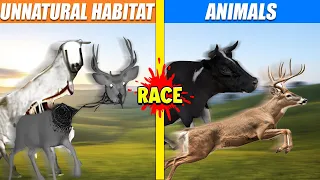 Unnatural Habitat vs Animal Race | SPORE